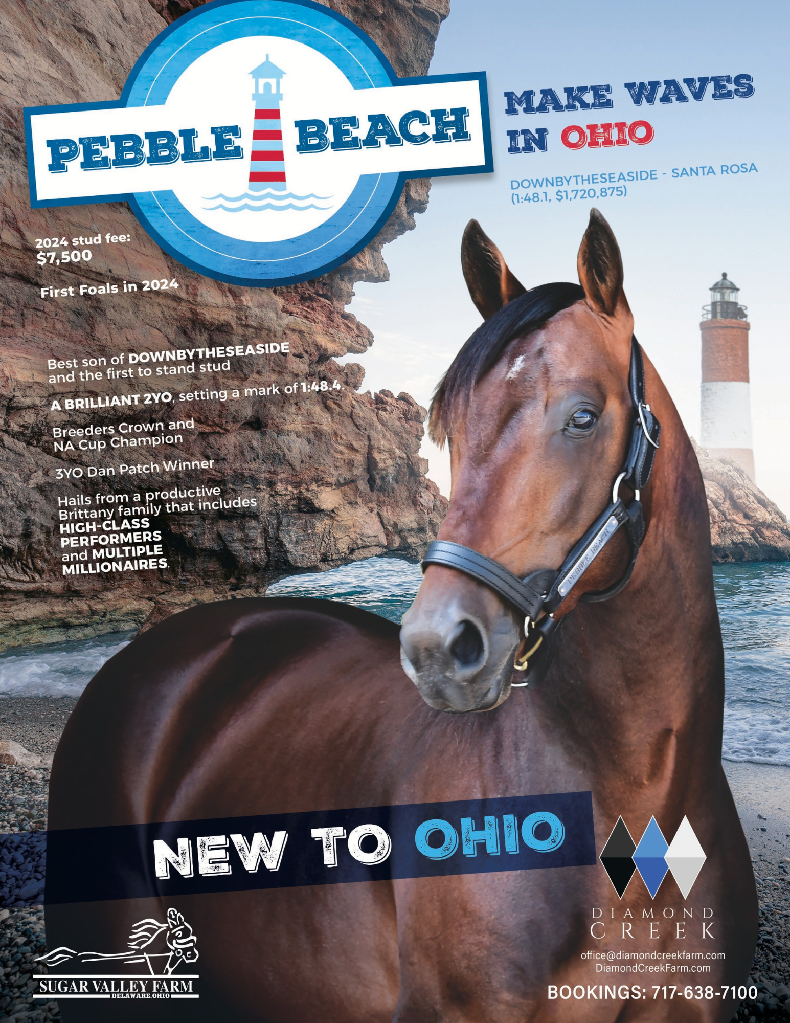 PEBBLE BEACH STANDING IN OHIO 2024