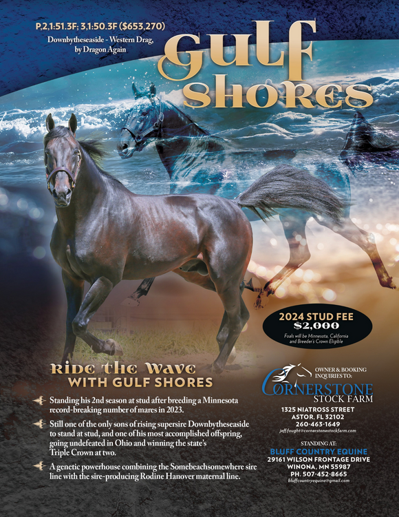 GULF SHORES STANDING IN MINNESOTA 2025 Standing Stallions