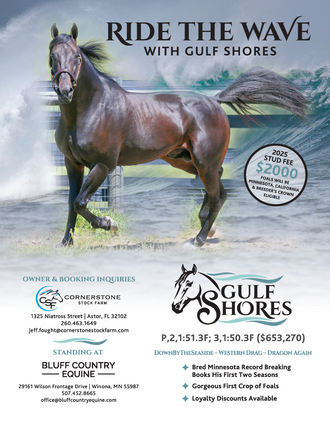 Gulf shores 1545x2000 426181ca 56ac 4768 a84e ab2abe4bf065