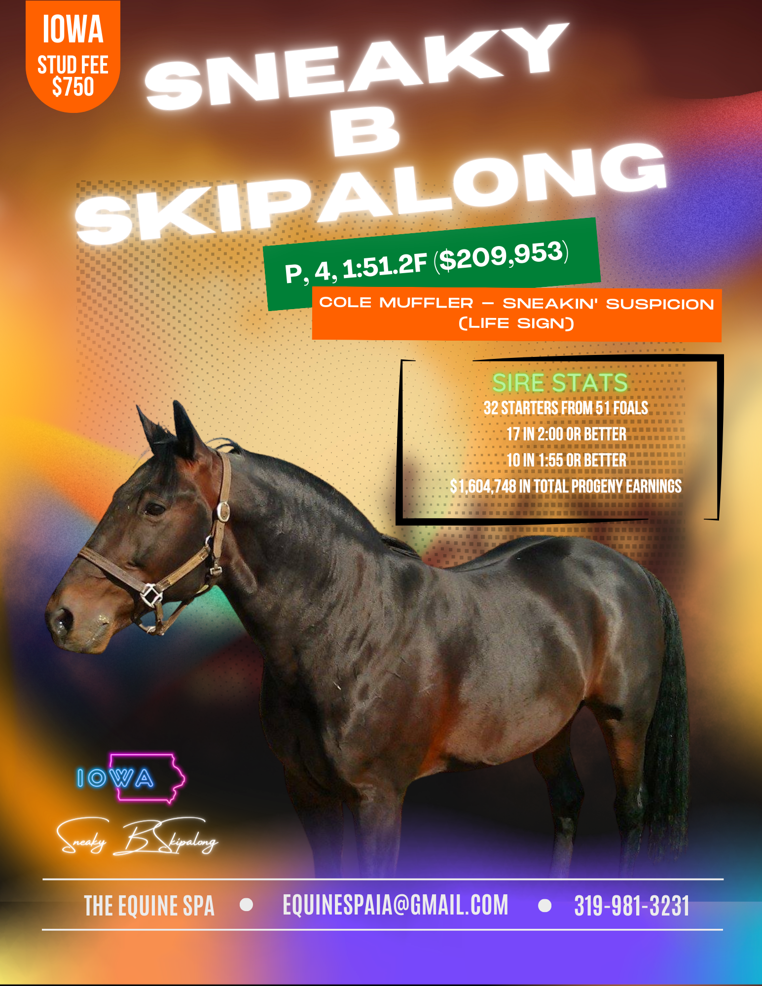 SNEAKY B SKIPALONG STANDING IN IOWA 2024 | Standing Stallions