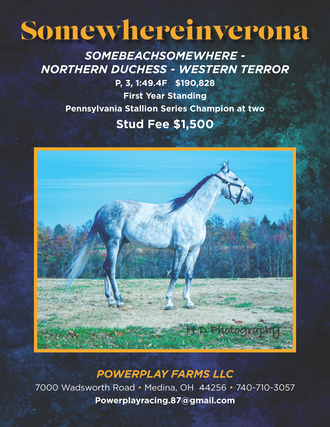 Somewhereinverona1545x2000