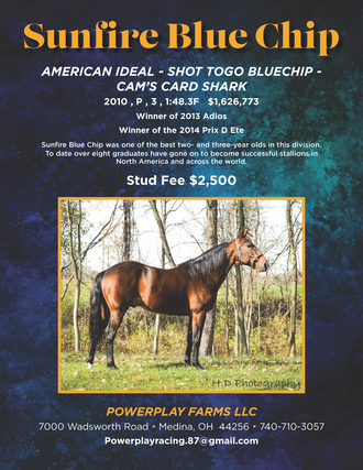 Sunfirebluechip1545x2000